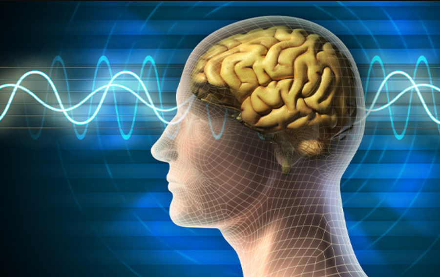 Cognitive Neuropsychology
